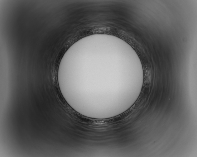 X0000096700753200802191448