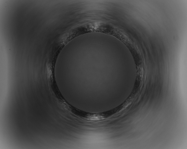 X0000096700754200802191448