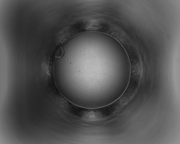 X0000096700755200802191448