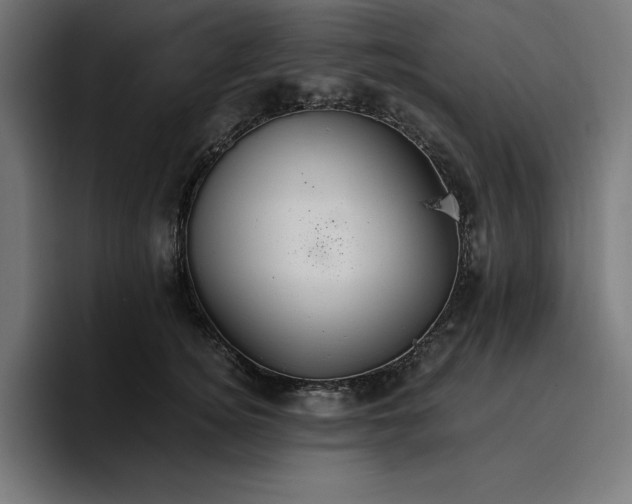 X0000096700756200802191448