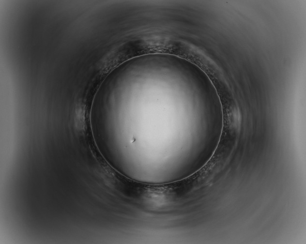 X0000096700757200802191448