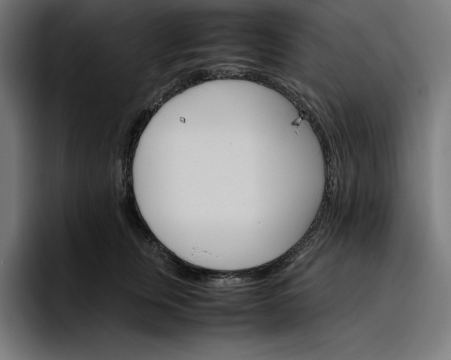 X0000096700759200802191448