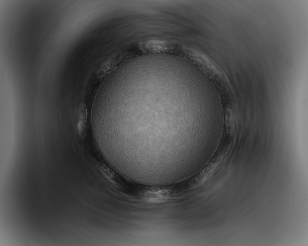 X0000096700760200802191448