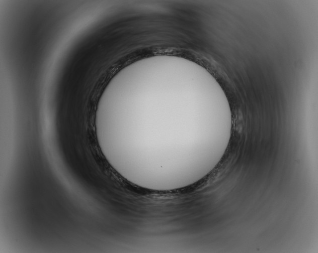 X0000096700763200802191448