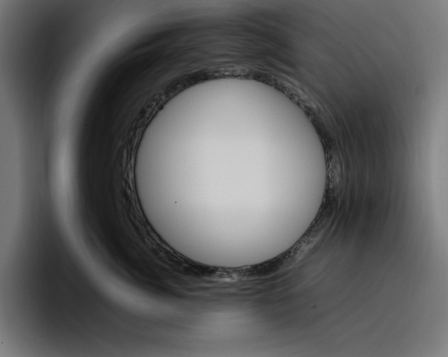X0000096700764200802191448