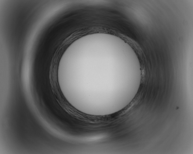 X0000096700765200802191448