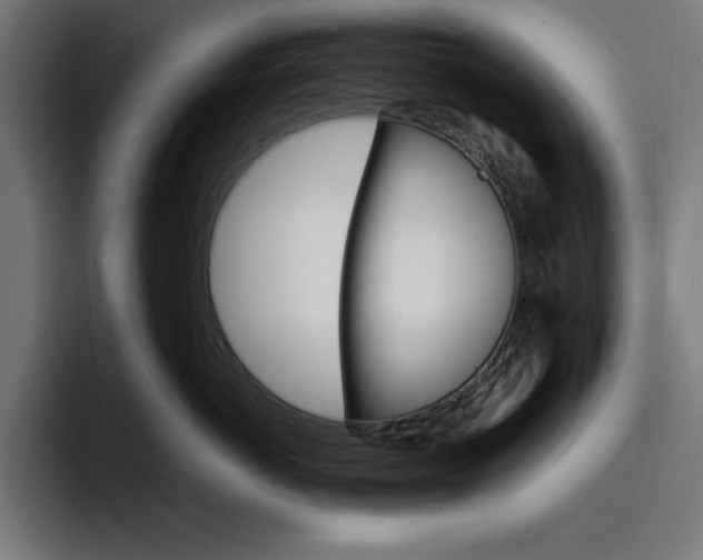 X0000096700766200802191448