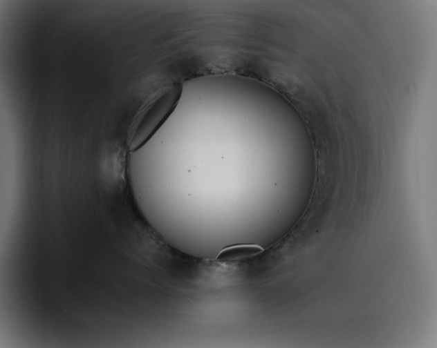 X0000096700768200802191448