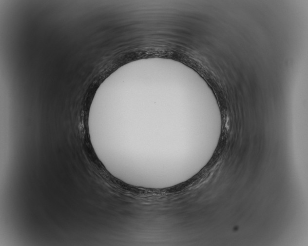 X0000096700771200802191447