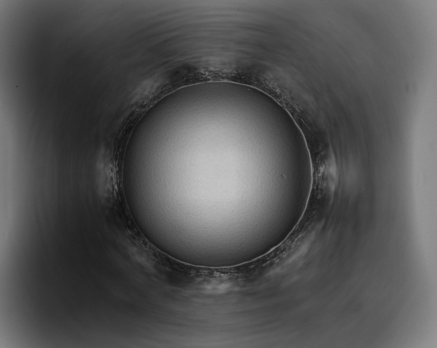 X0000096700772200802191447