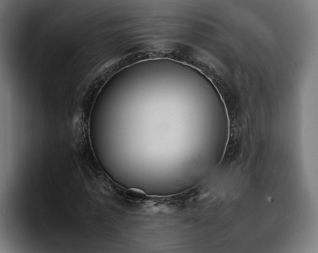 X0000096700773200802191447
