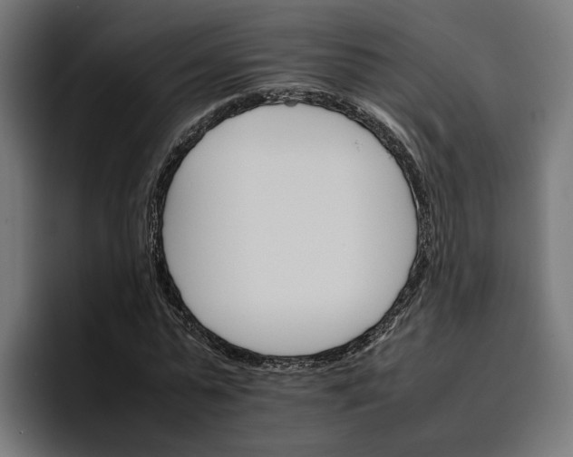 X0000096700775200802191447