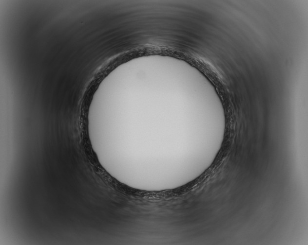 X0000096700776200802191447