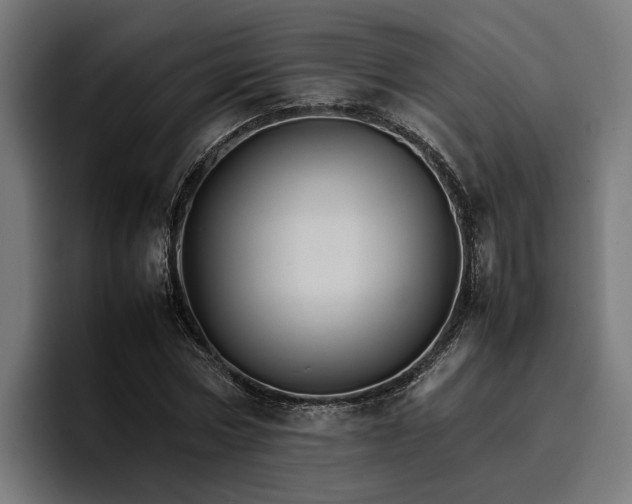 X0000096700778200802191447