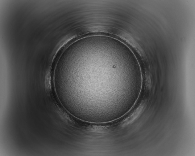 X0000096700782200802191447