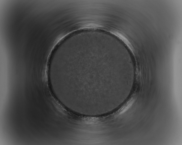X0000096700783200802191447