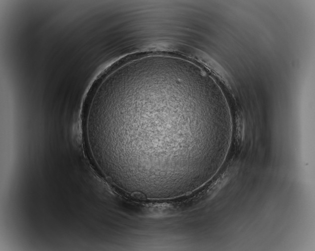 X0000096700784200802191447