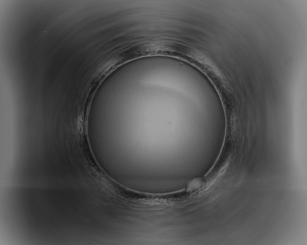 X0000096700785200802191447