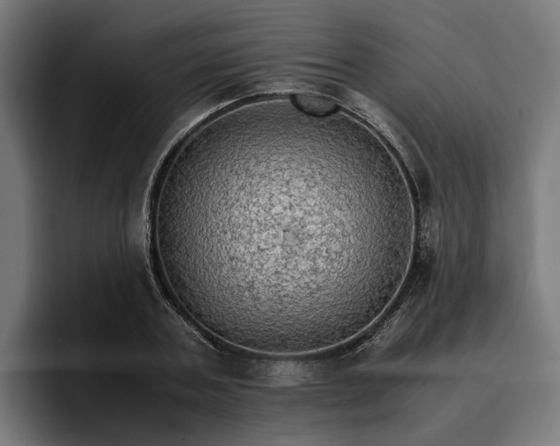 X0000096700787200802191447