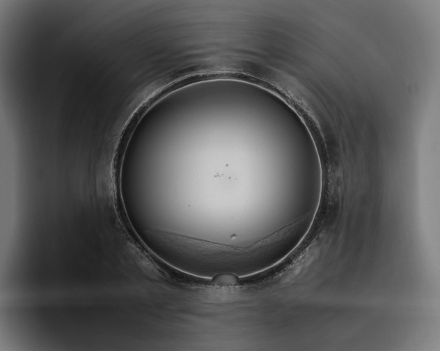 X0000096700789200802191447