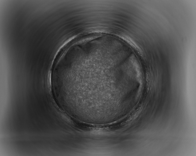 X0000096700790200802191447