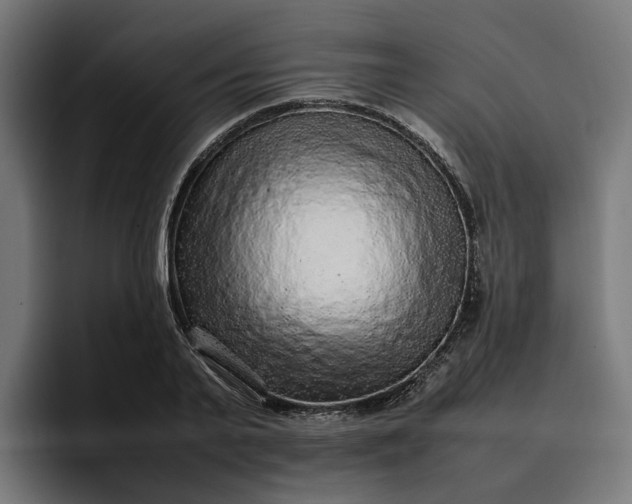 X0000096700791200802191447