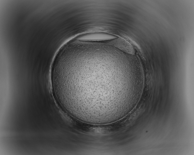 X0000096700792200802191447