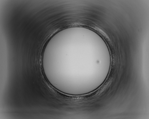 X0000096700793200802191447