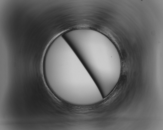 X0000096700795200802191447