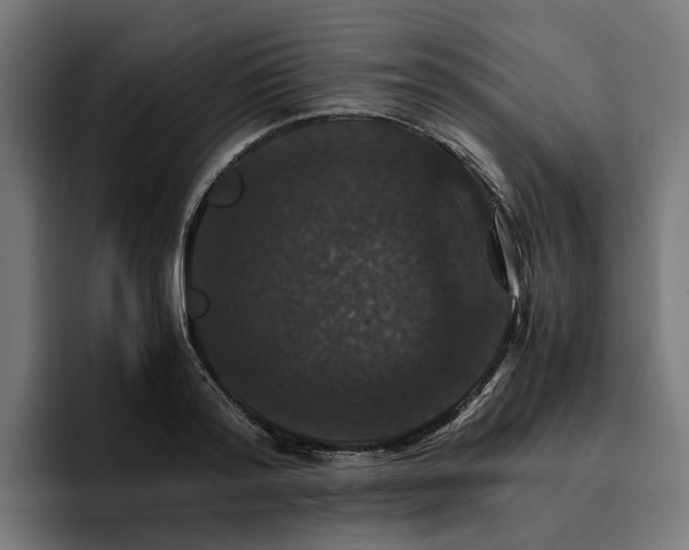 X0000096700796200802191447