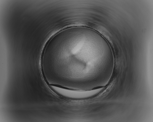X0000096700797200802191447