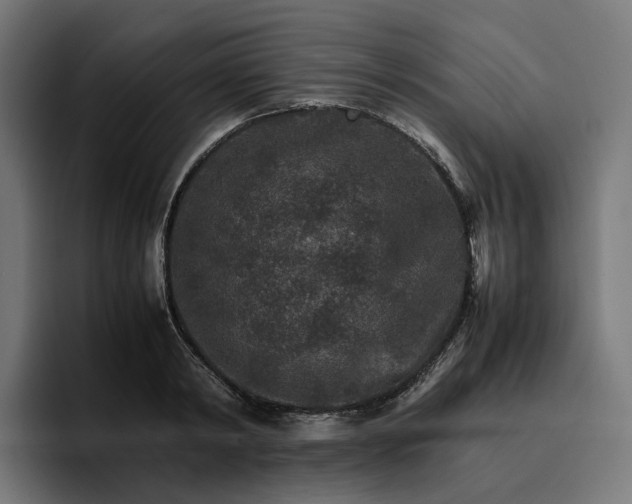 X0000096700798200802191447