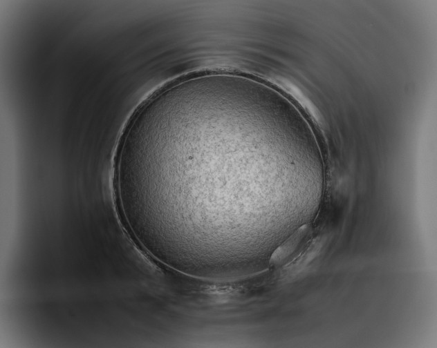 X0000096700799200802191447