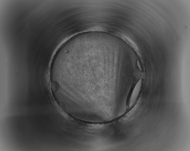 X0000096700800200802191447