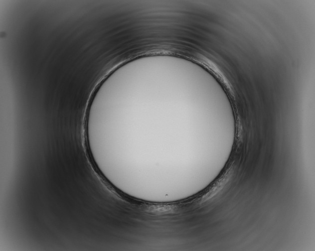 X0000096700802200802191447