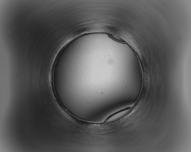 X0000096700805200802191447
