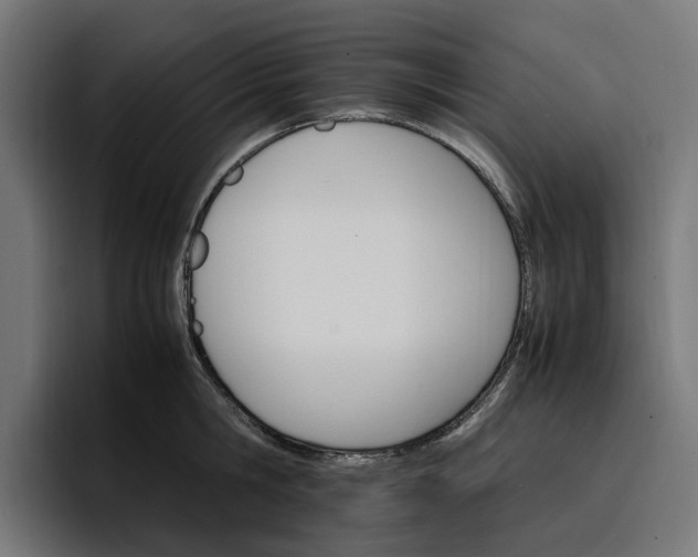 X0000096700806200802191447