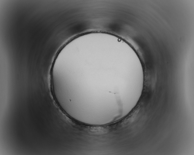 X0000096700807200802191447