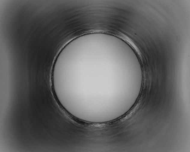 X0000096700810200802191447