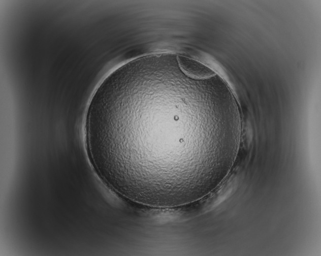 X0000096700811200802191447