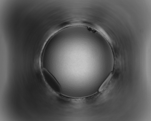 X0000096700813200802191447