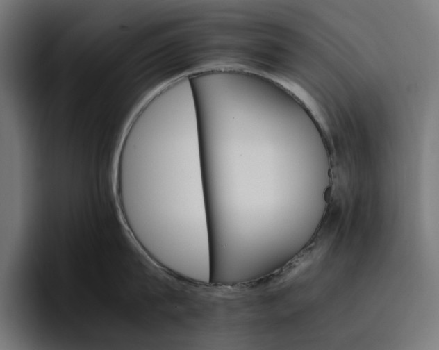 X0000096700815200802191447