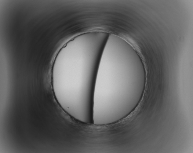 X0000096700816200802191447