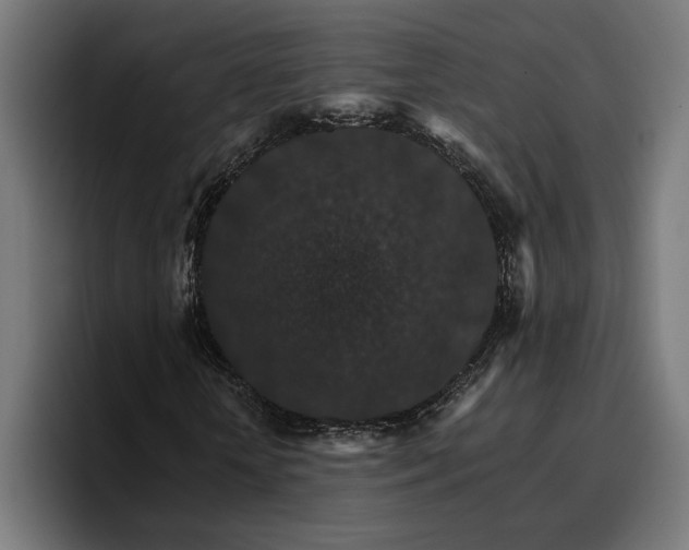 X0000096700818200802191446