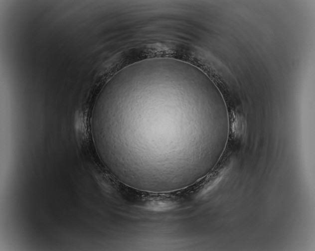 X0000096700819200802191446