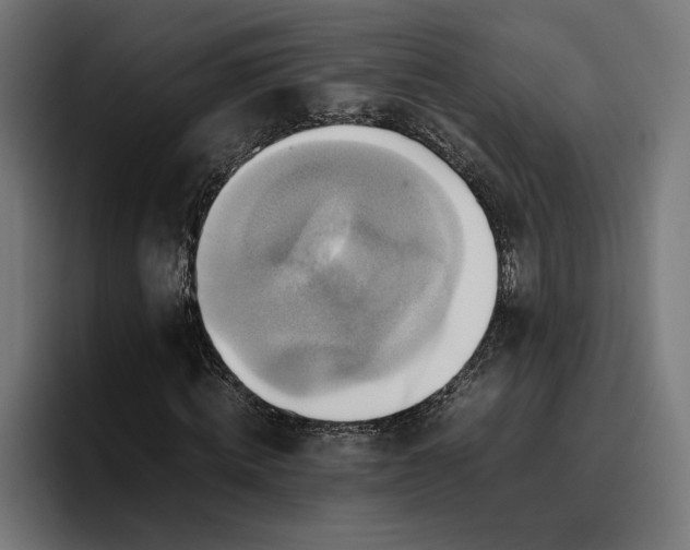 X0000096700820200802191446