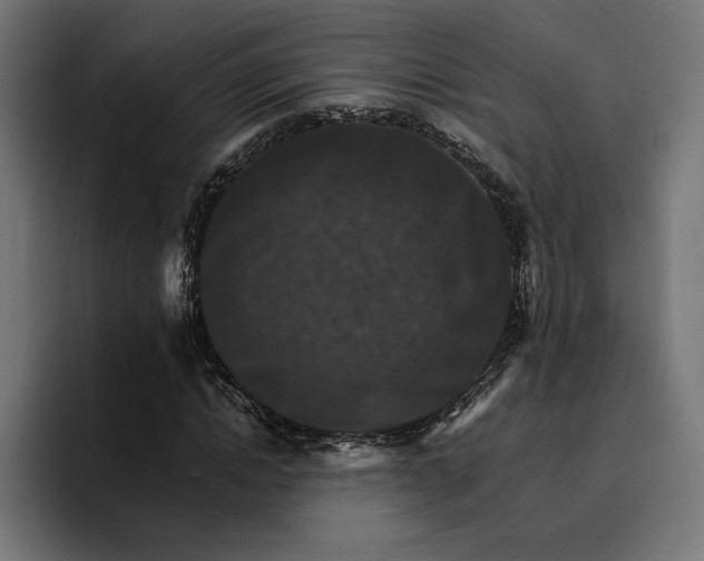 X0000096700822200802191446