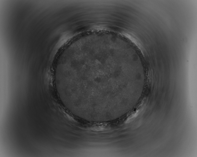 X0000096700823200802191446