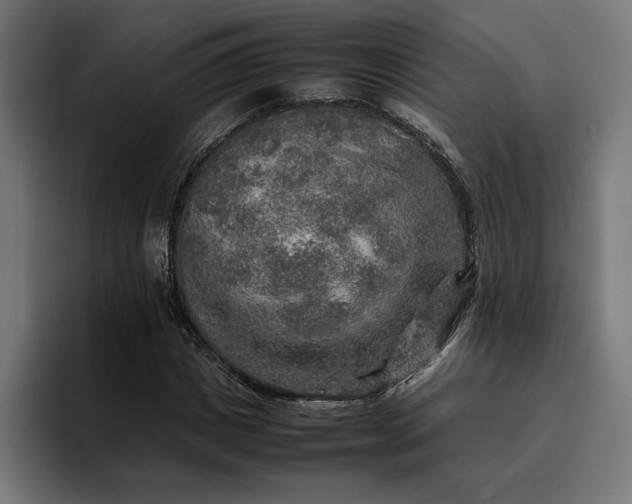 X0000096700825200802191446