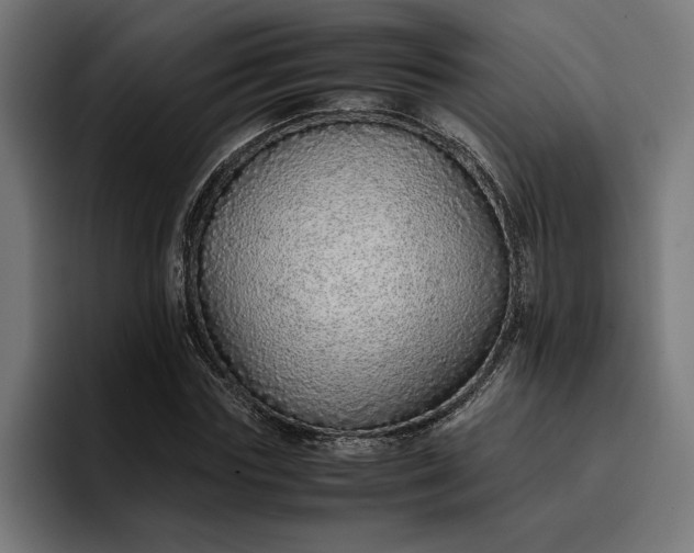 X0000096700827200802191446